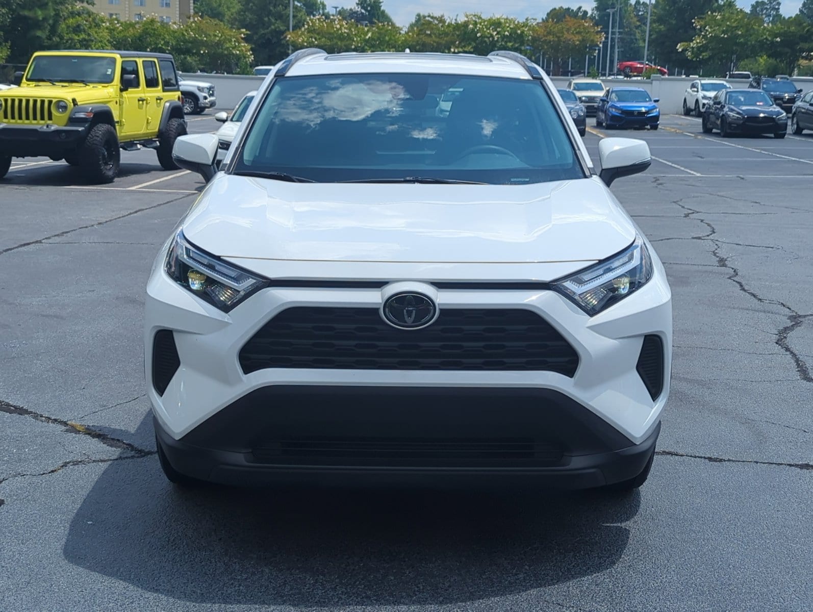 Certified 2024 Toyota RAV4 XLE with VIN 2T3W1RFV2RC289097 for sale in Northfield, Minnesota