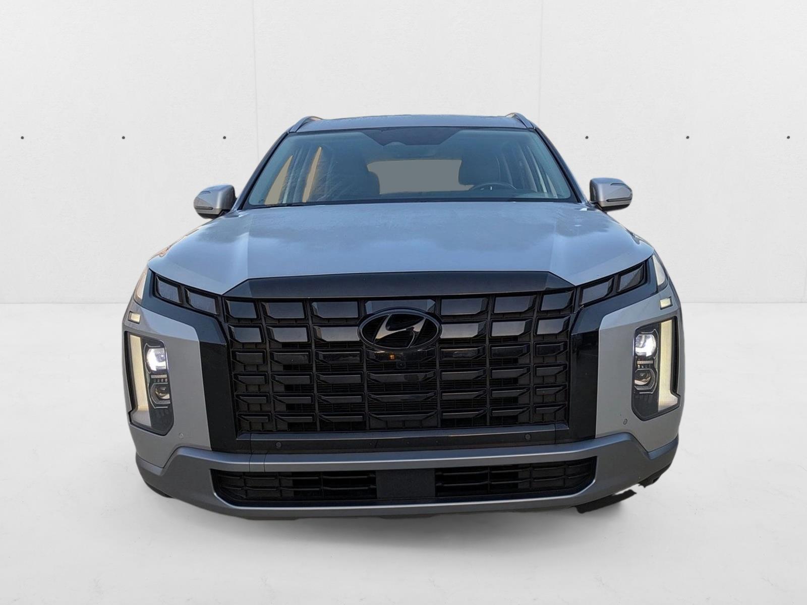 2023 Hyundai Palisade Limited photo 2