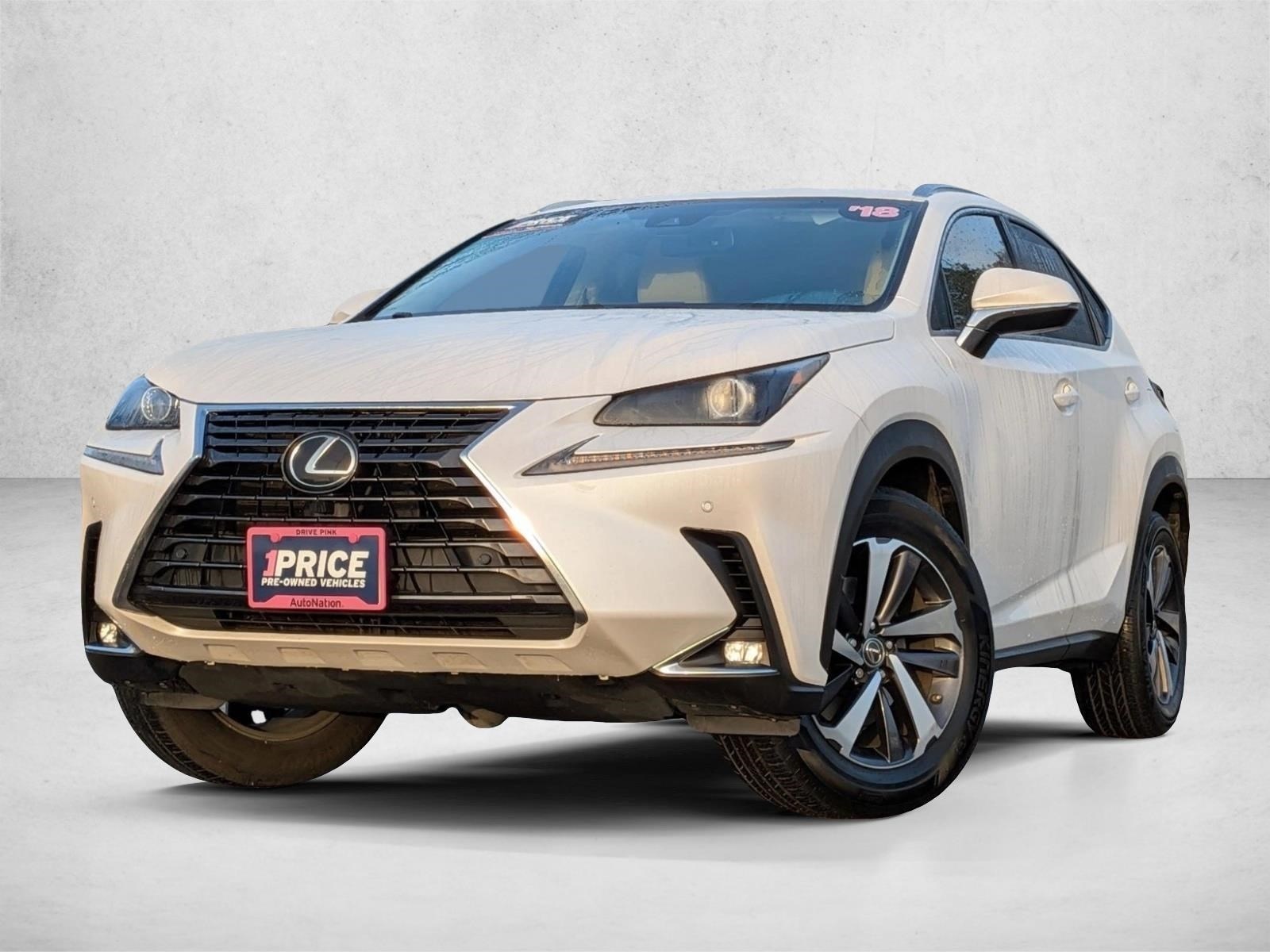 2018 Lexus NX 300's photo