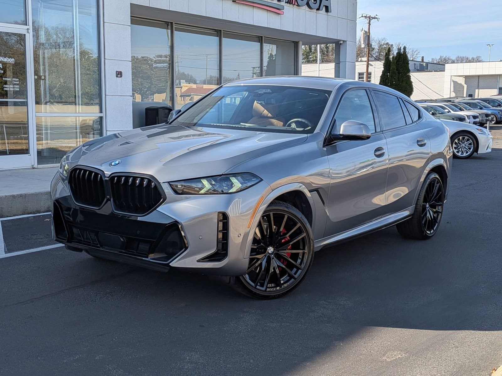 2024 BMW X6 40i's photo