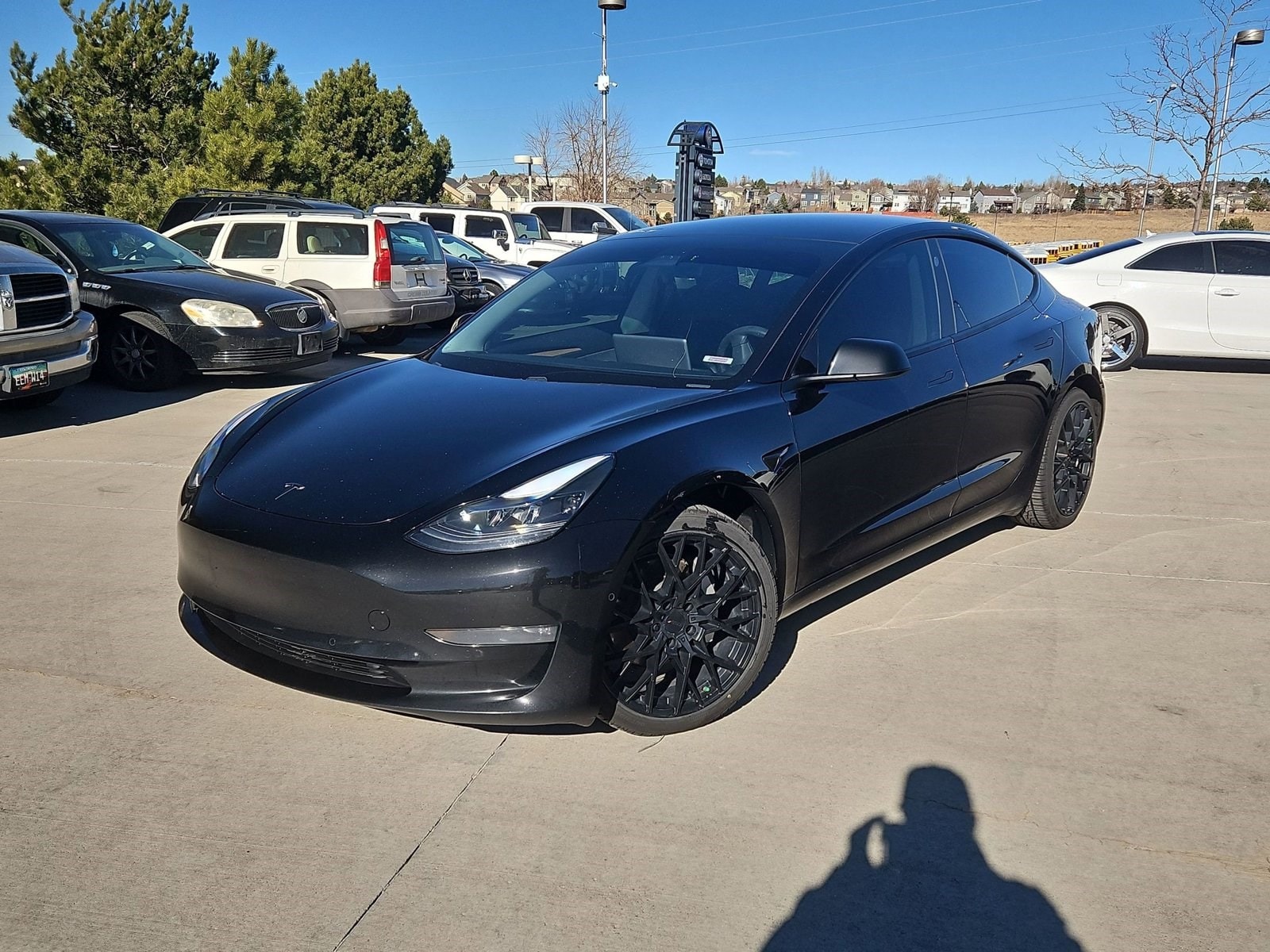 2021 Tesla Model 3 Base's photo