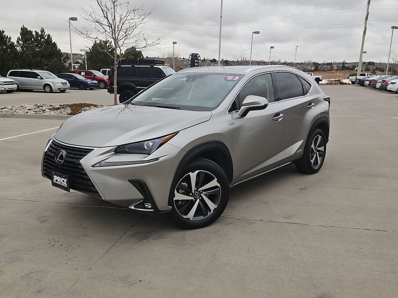 2020 Lexus NX Hybrid 300h's photo