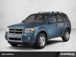 Used 2010 Ford Escape XLT SUV