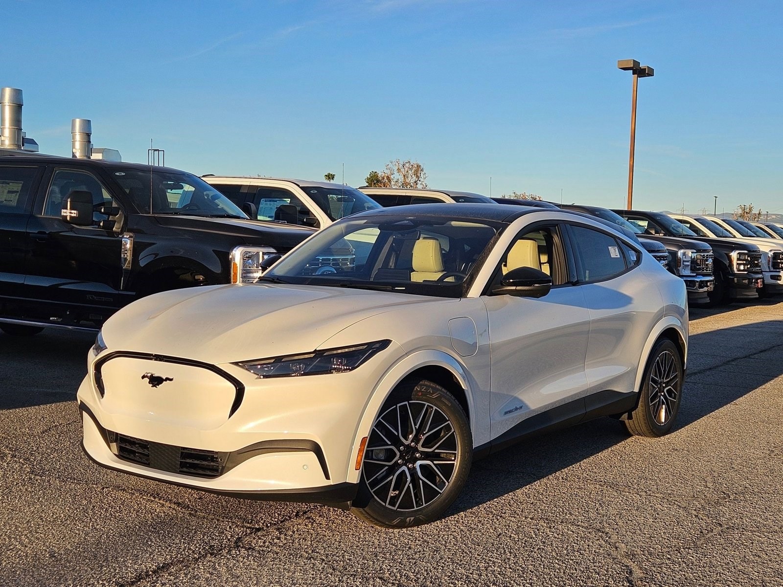 2025 Ford Mustang Mach-E Premium RWD's photo