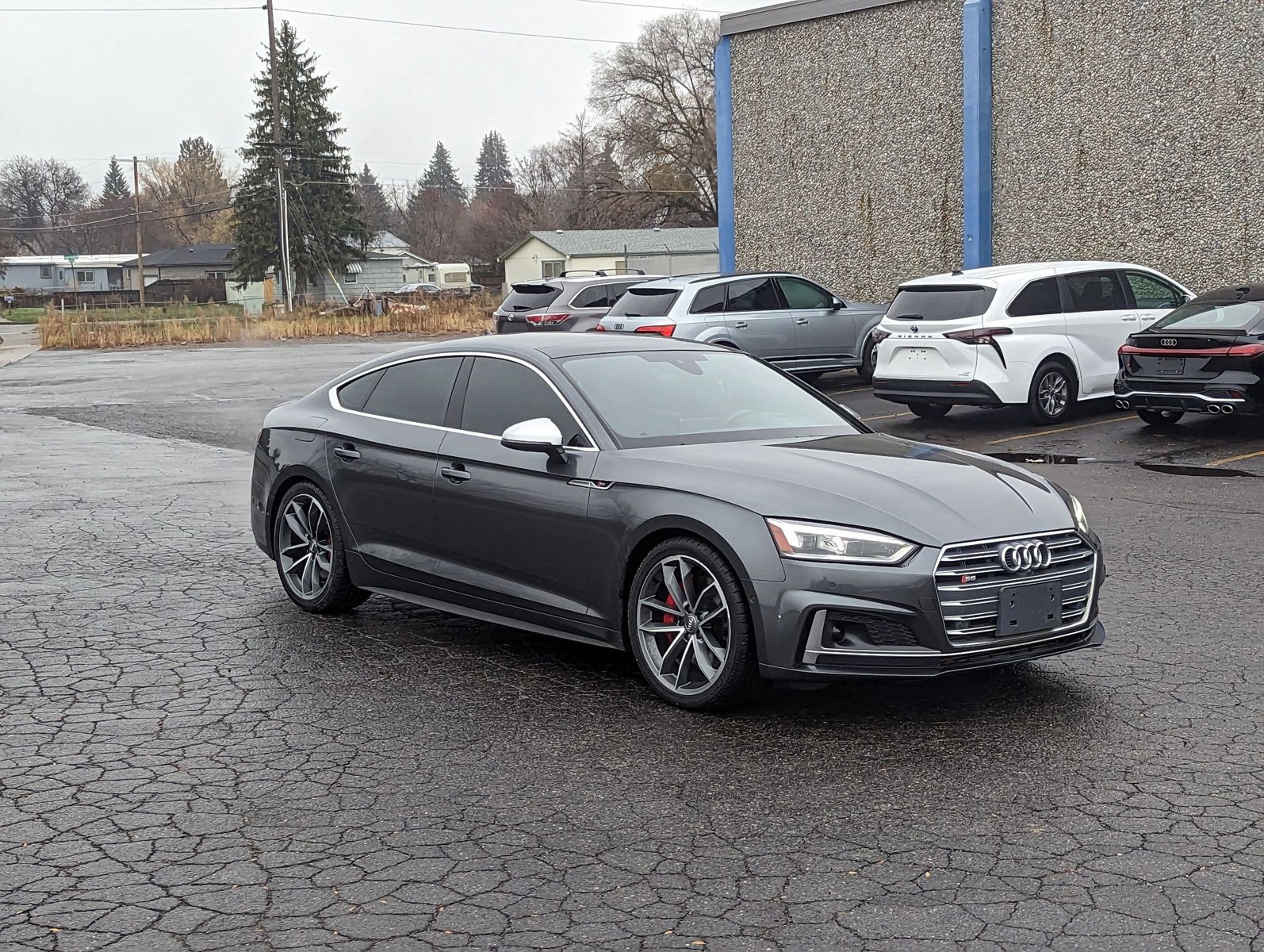 2019 Audi S5 Prestige photo 3