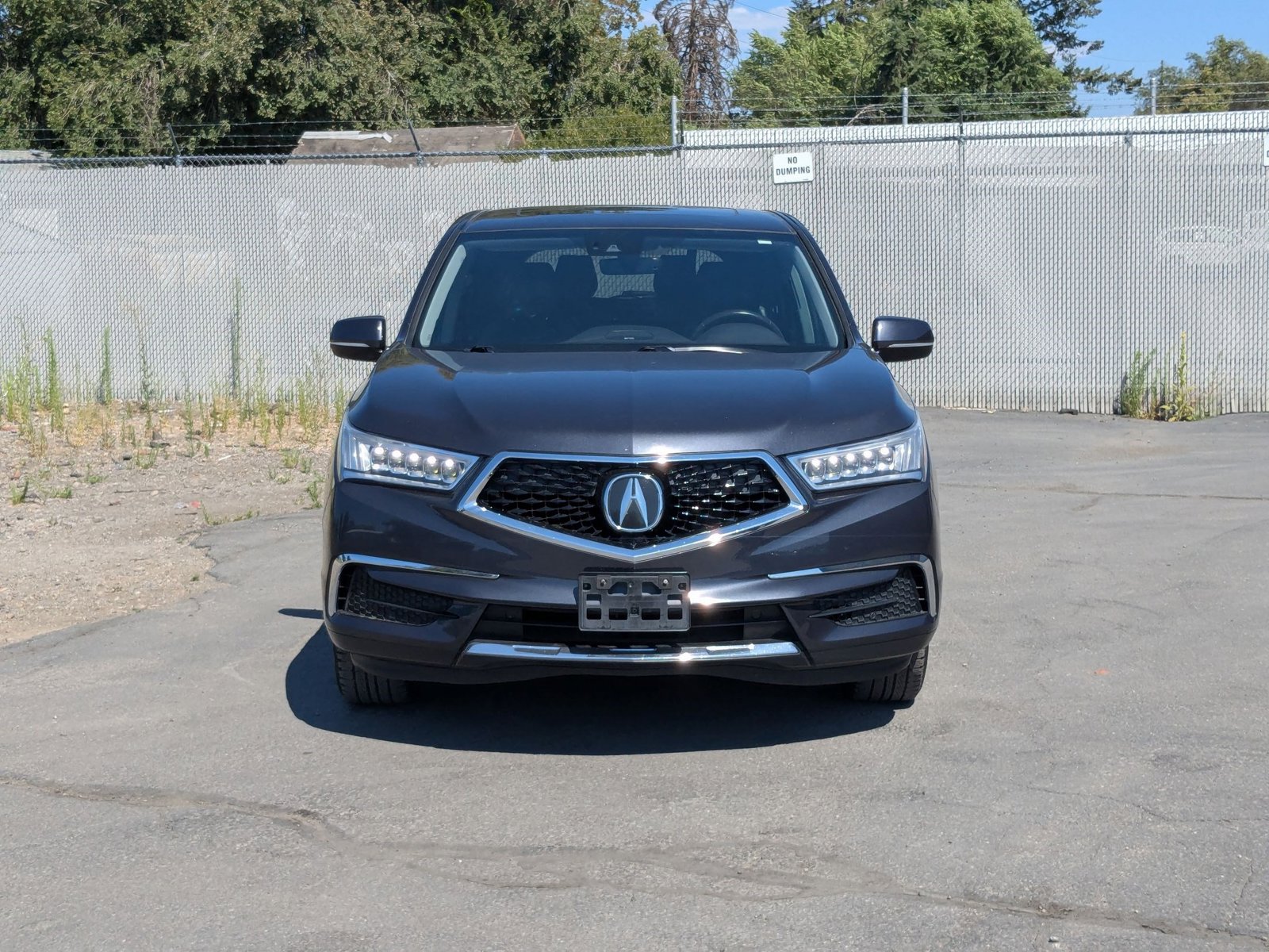 2020 Acura MDX SH-AWD Technology photo 2