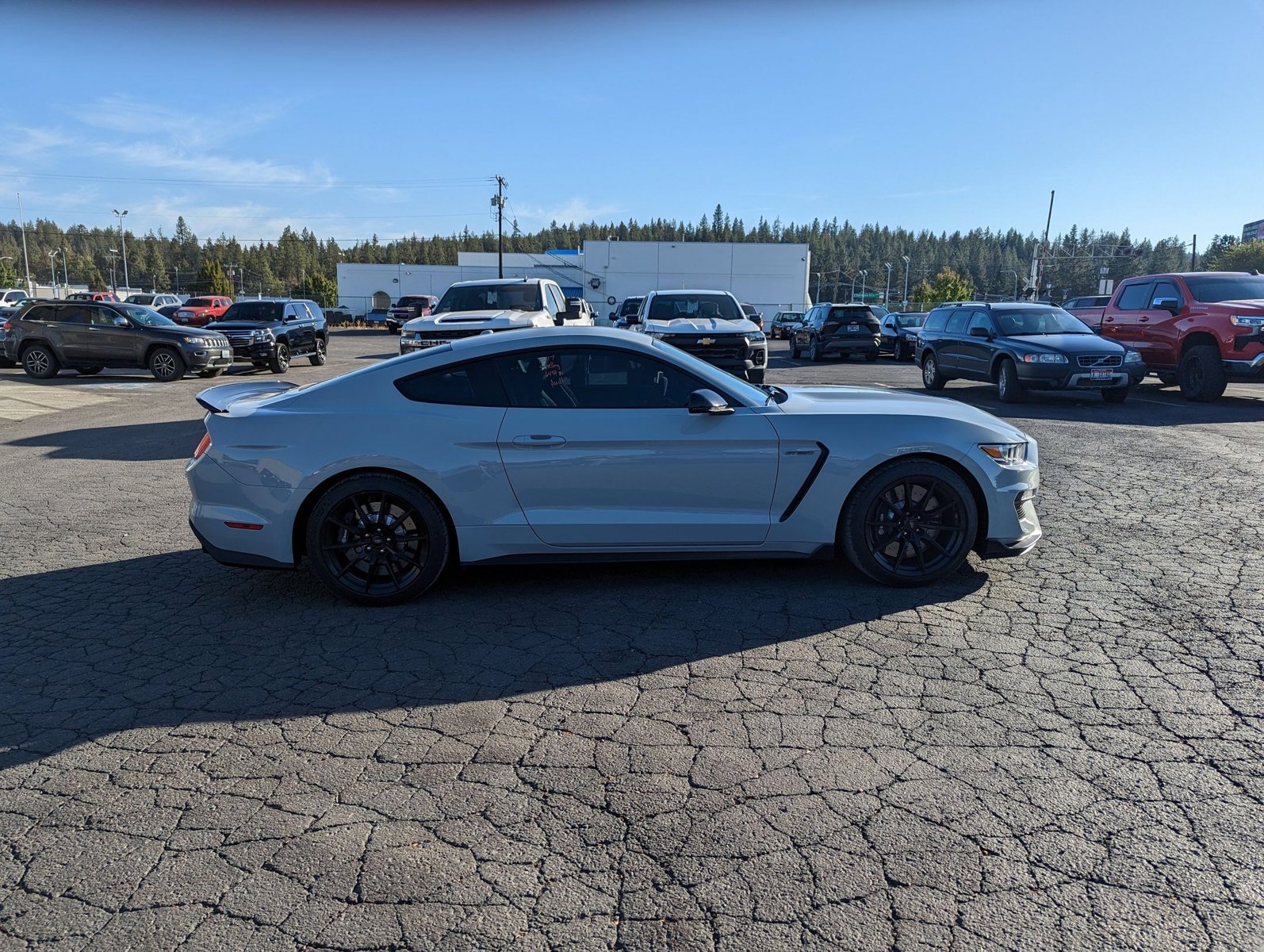 2017 Ford Mustang Shelby photo 4