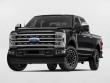 Used 2024 Ford Super Duty F-250 SRW Platinum Truck Crew Cab