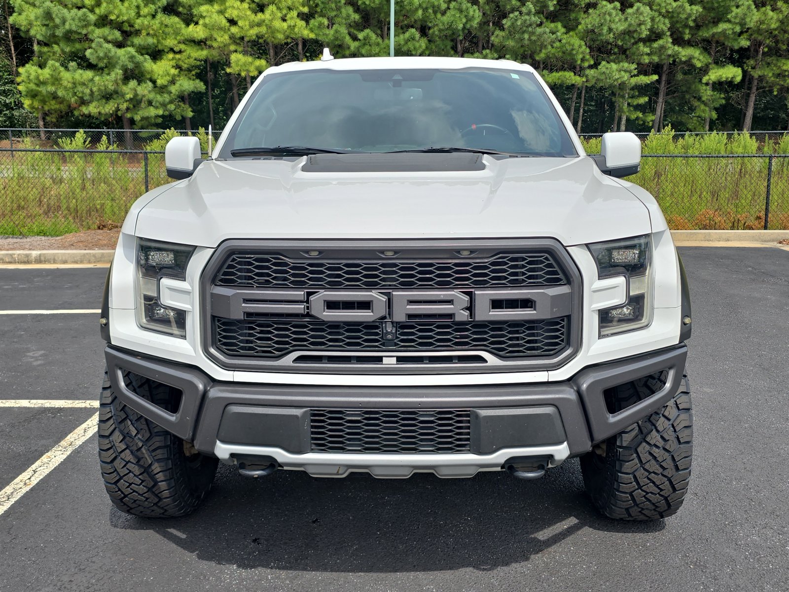 2019 Ford F-150 Raptor photo 2