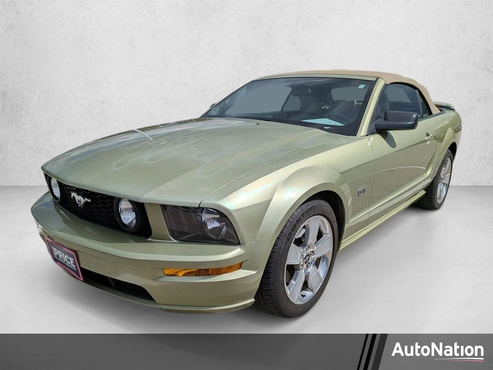 2006 Ford Mustang GT Deluxe's photo