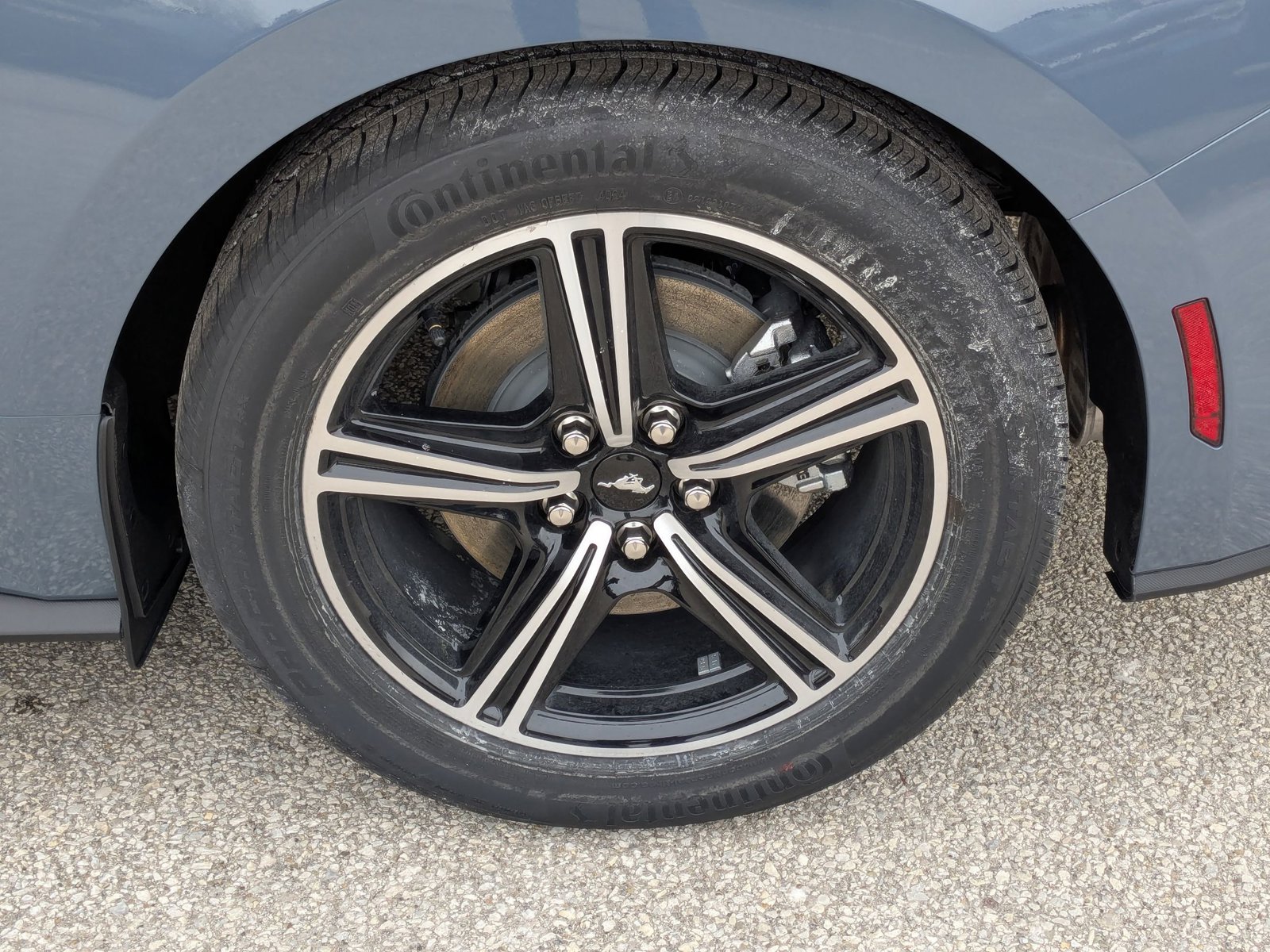2025 Ford Mustang EcoBoost Premium Fastback - Photo 10