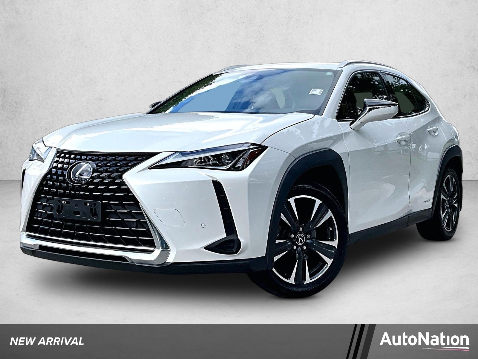 2020 Lexus UX 300h 250h AWD's photo