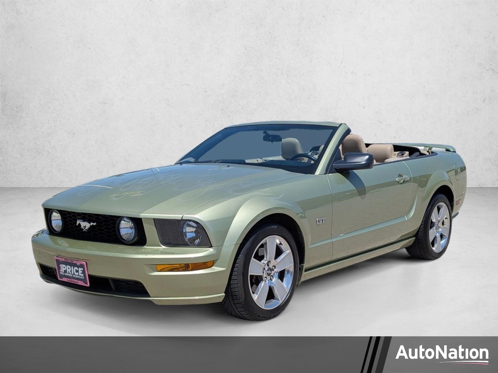 2006 Ford Mustang GT Deluxe's photo