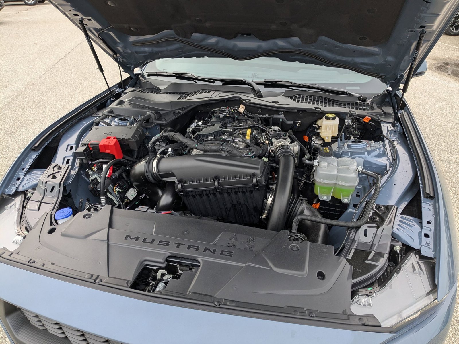 2025 Ford Mustang EcoBoost Premium Fastback - Photo 17