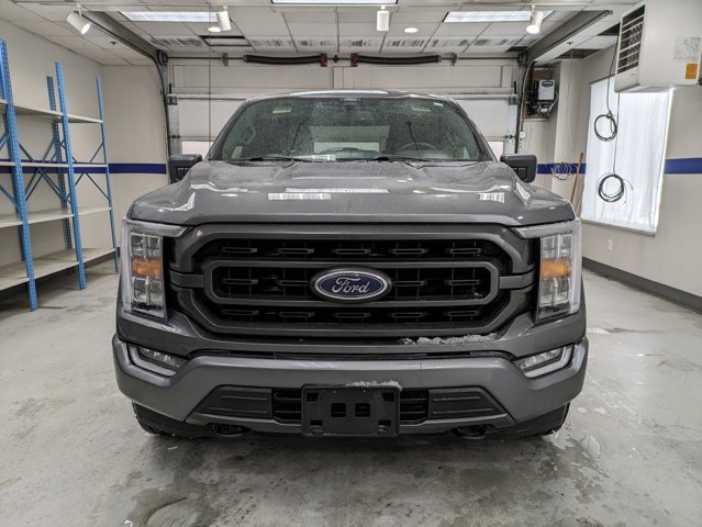 Used 2021 Ford F-150 XLT with VIN 1FTFW1E51MKD17086 for sale in White Bear Lake, Minnesota