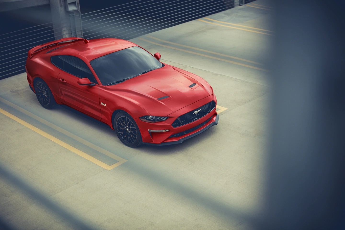 What's the Difference: Ford Mustang vs. Dodge Challenger | AutoNation