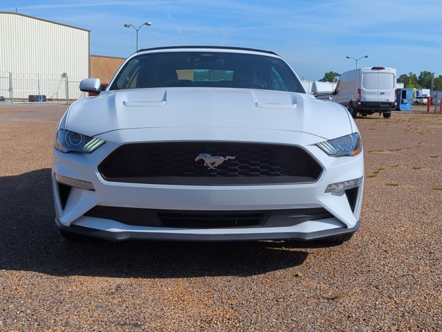 2023 Ford Mustang EcoBoost Premium Convertible photo 2