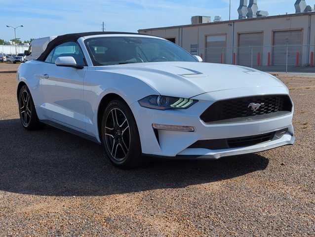 2023 Ford Mustang EcoBoost Premium Convertible photo 3