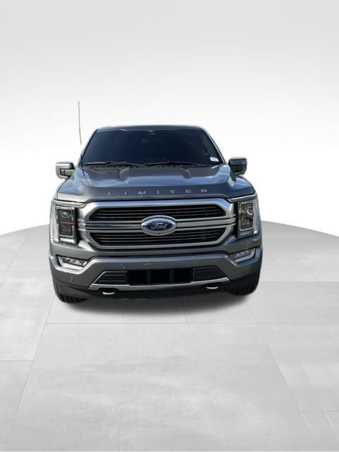 2023 Ford F-150 Limited photo 3