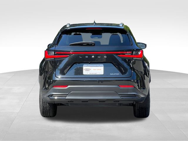 2023 Lexus NX 250 photo 3