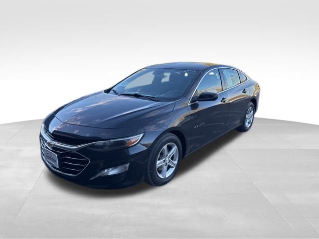 2023 Chevrolet Malibu 1LT photo 3