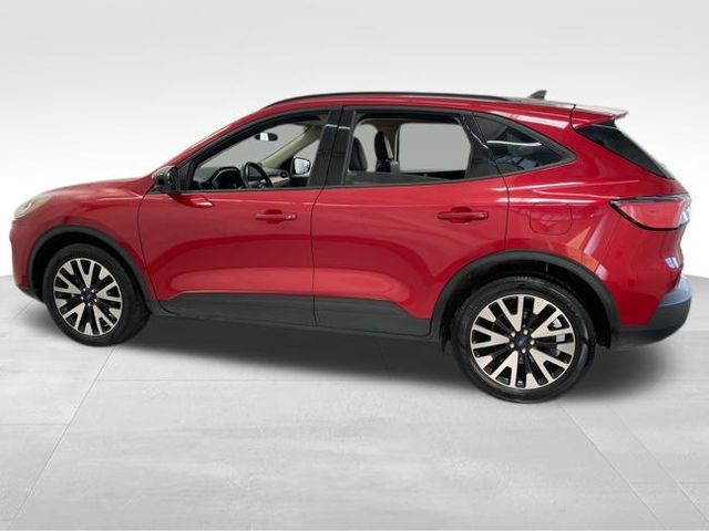 2020 Ford Escape SE Sport Hybrid photo 3