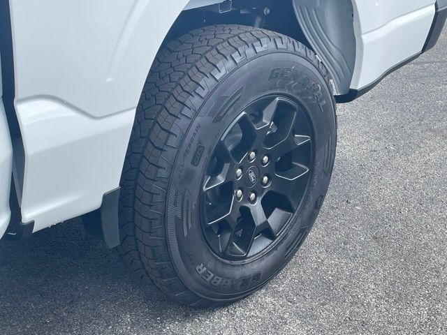 2025 Ford F-150 STX - Photo 10