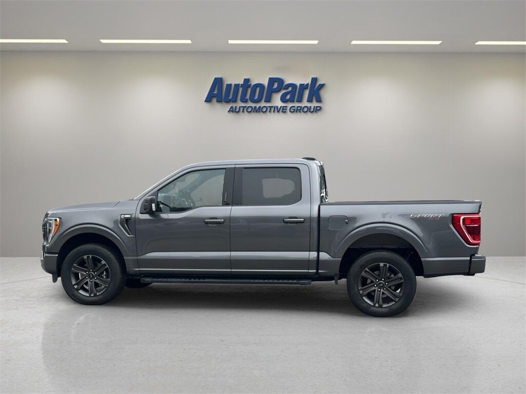 2023 Ford F-150 XLT photo 4