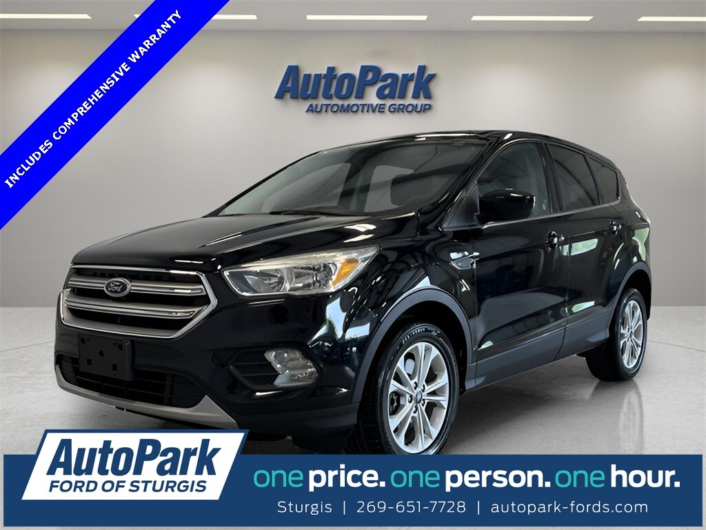 2017 Ford Escape SE photo 2