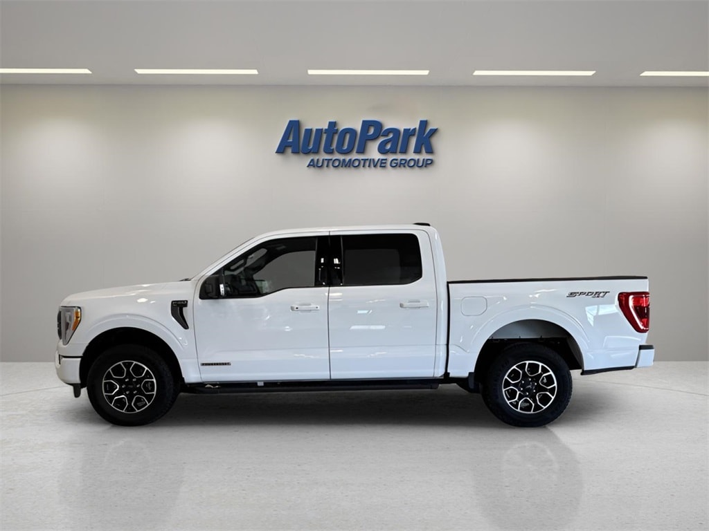 Used 2023 Ford F-150 XLT Truck SuperCrew Cab