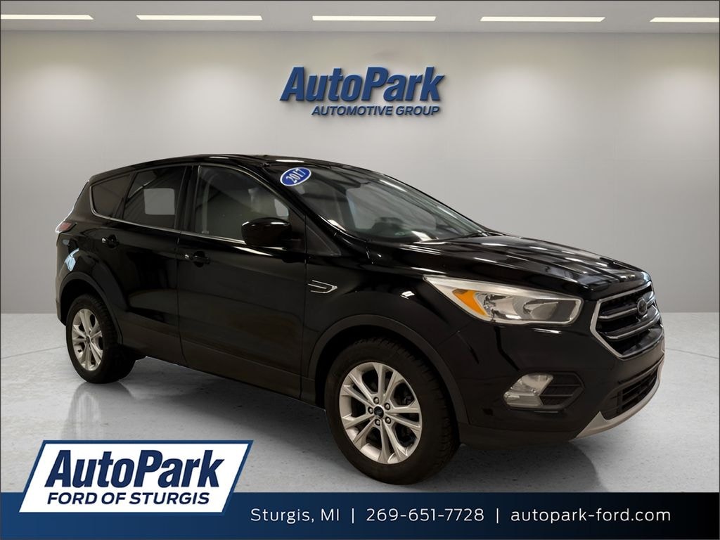 Used 2017 Ford Escape SE SUV