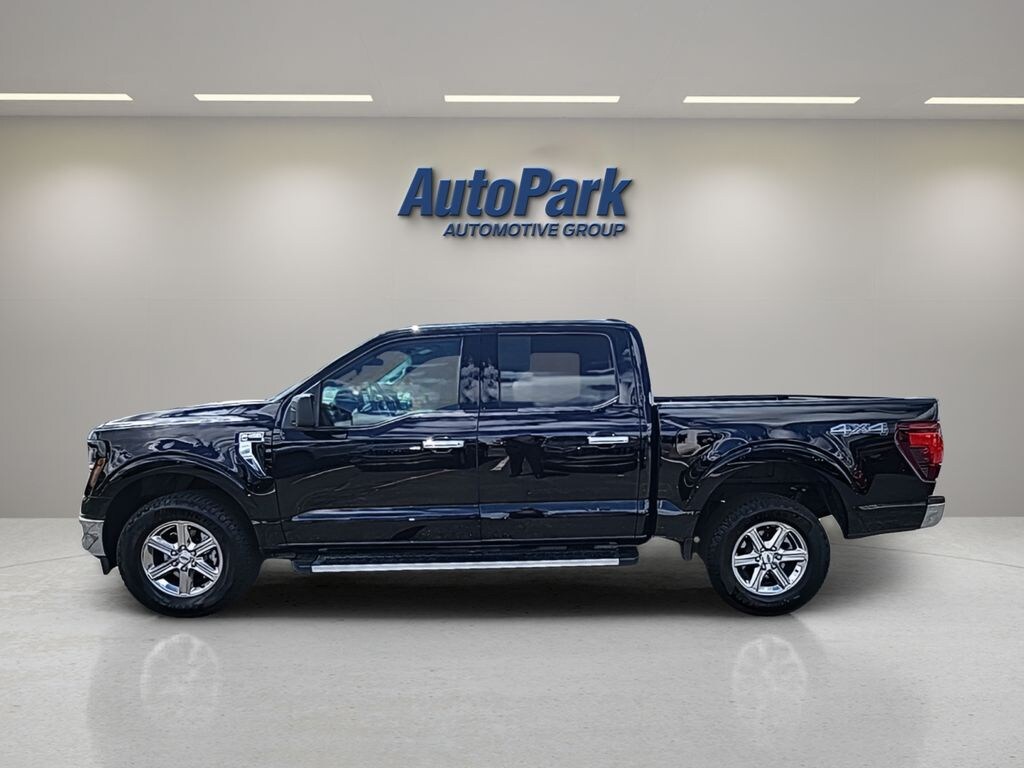 Used 2025 Ford F-150 XLT Truck