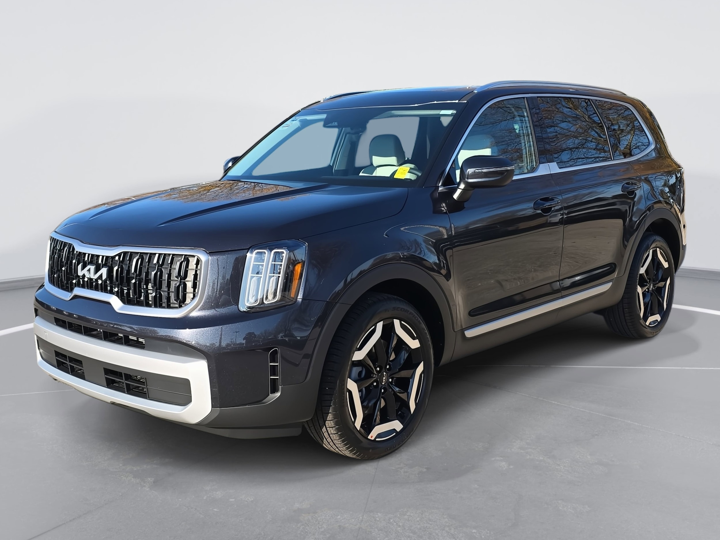 2025 Kia Telluride EX's photo