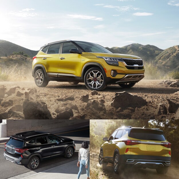 2023 KIA Seltos KIA Raleigh NC Leith Autopark KIA