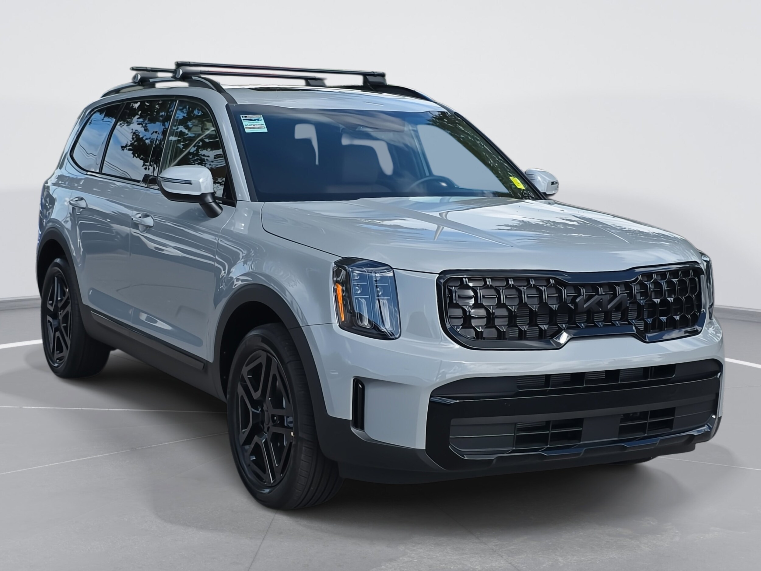 2025 Kia Telluride EX X-Line photo 3