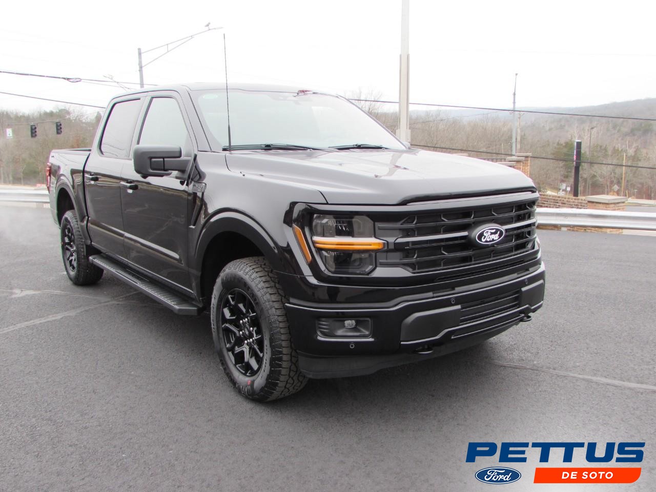 2025 Ford F-150 XLT's photo