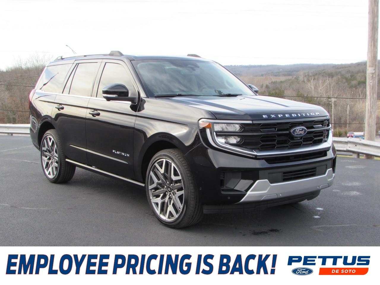 2025 Ford Expedition Platinum 4x4's photo