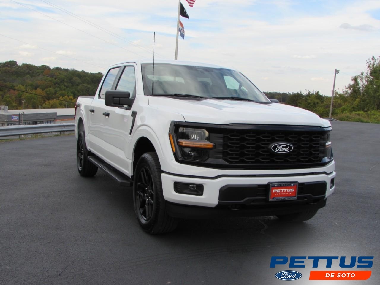 2025 Ford F-150 STX's photo