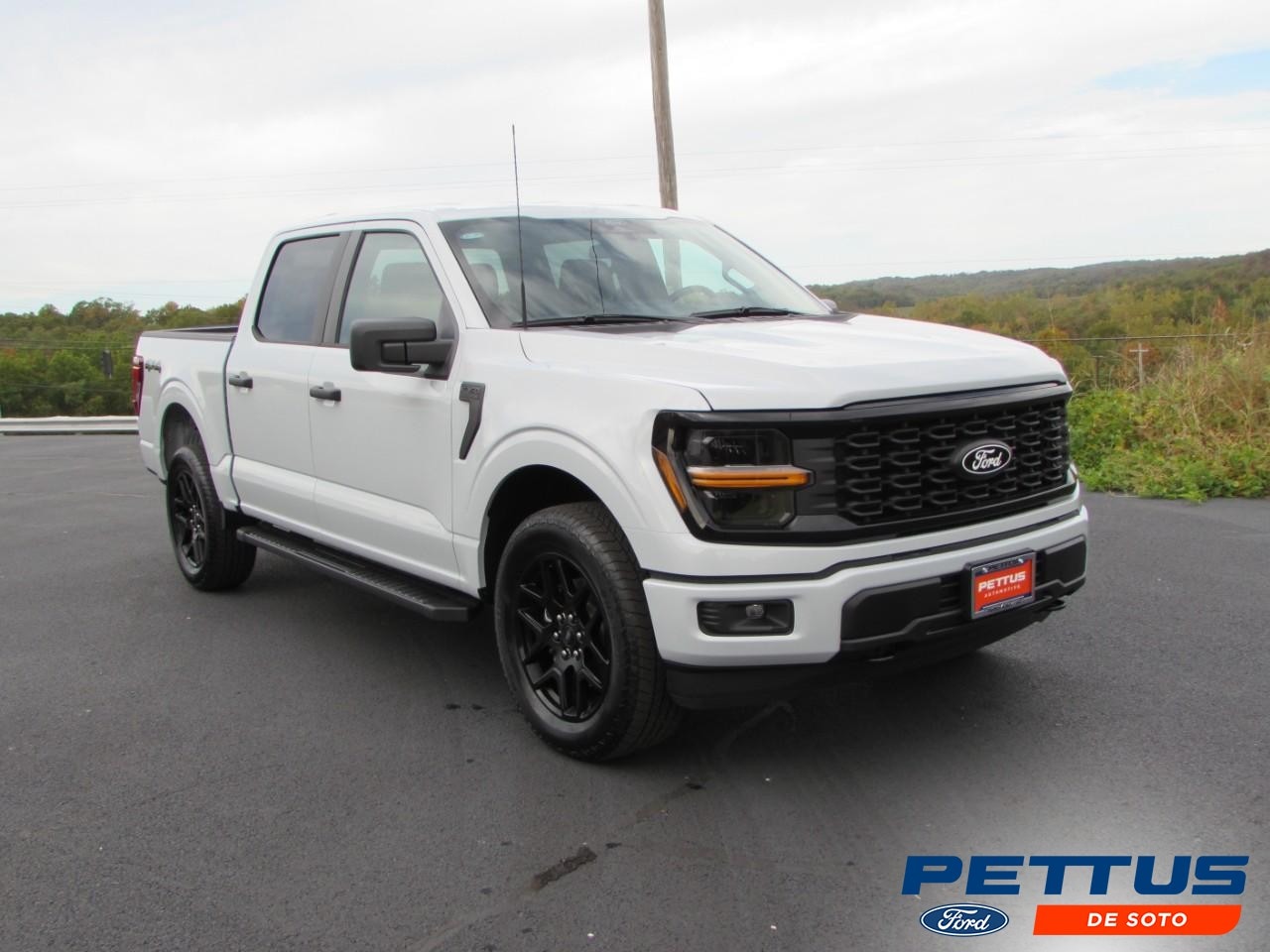 2025 Ford F-150 STX's photo