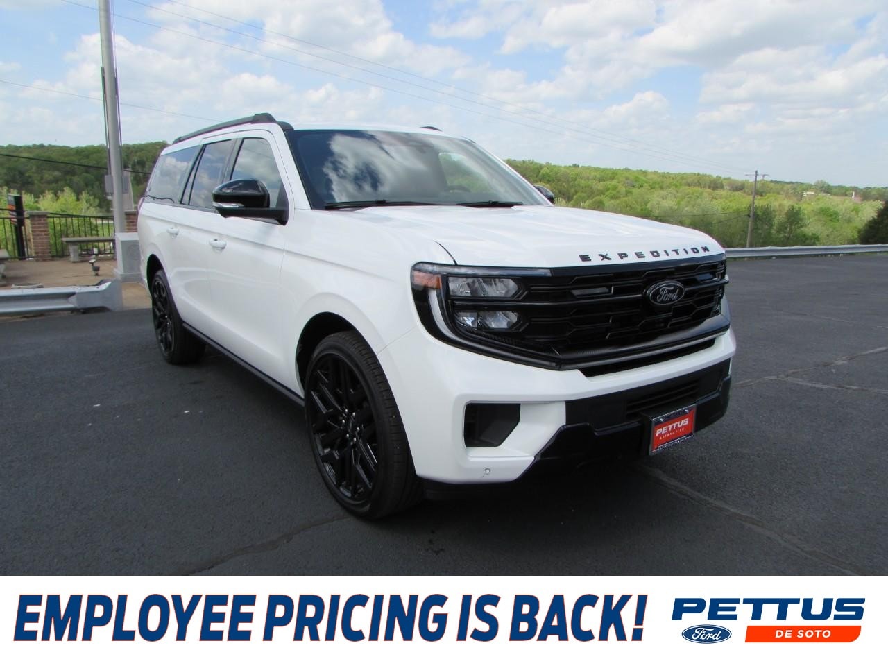 2026 Ford Expedition Platinum MAX 4x4's photo