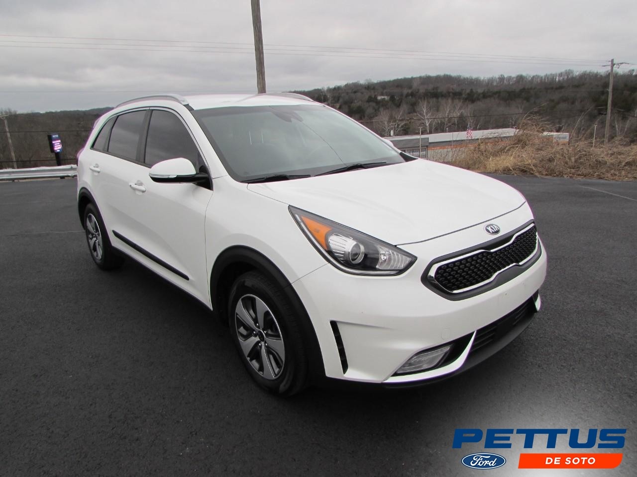 2019 Kia Niro EX's photo