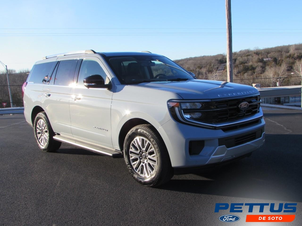 2026 Ford Expedition Platinum's photo