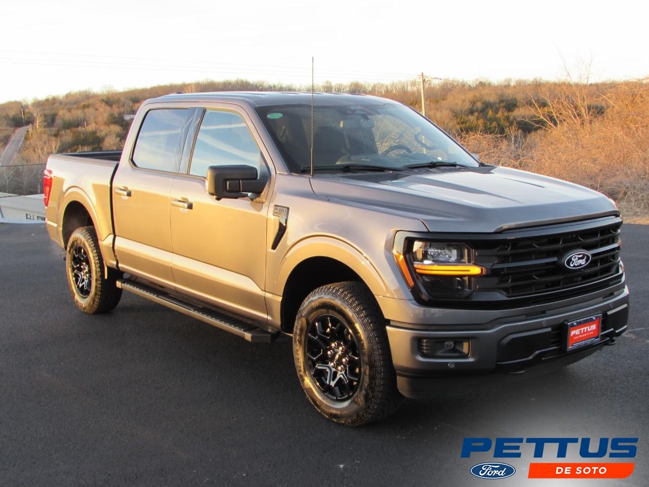 2025 Ford F-150 XLT's photo