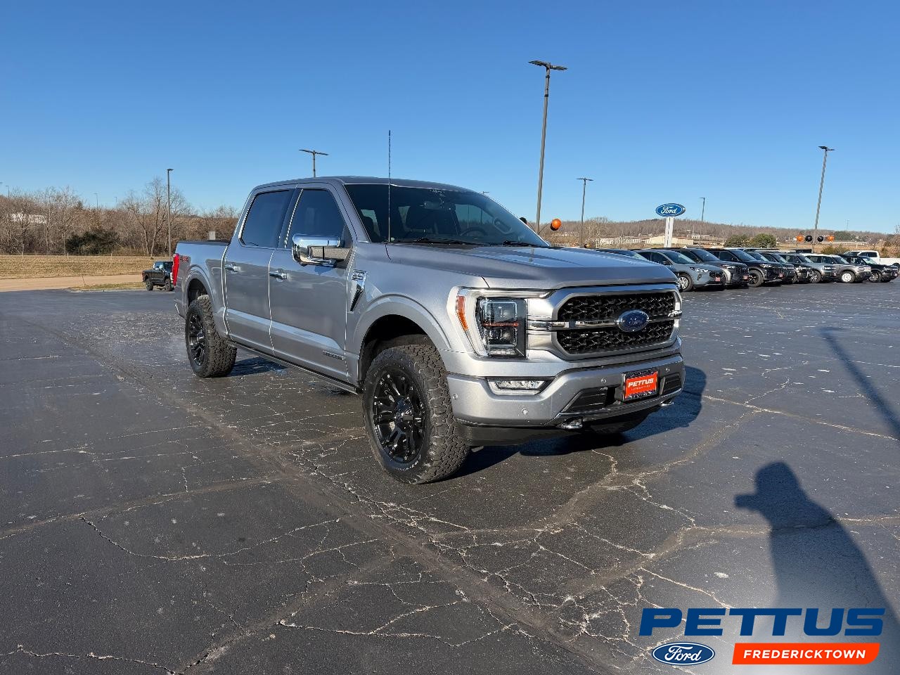 2022 Ford F-150 Platinum's photo