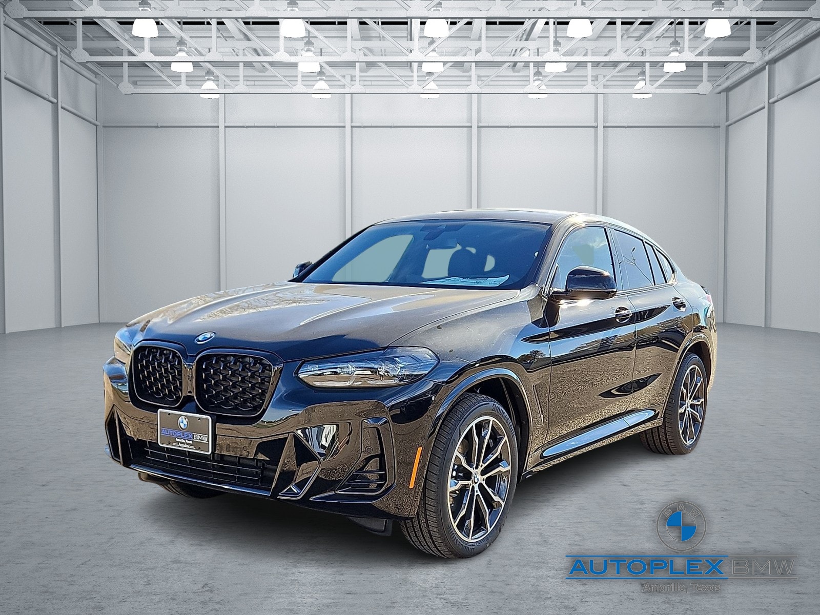 2025 BMW X4 30i's photo