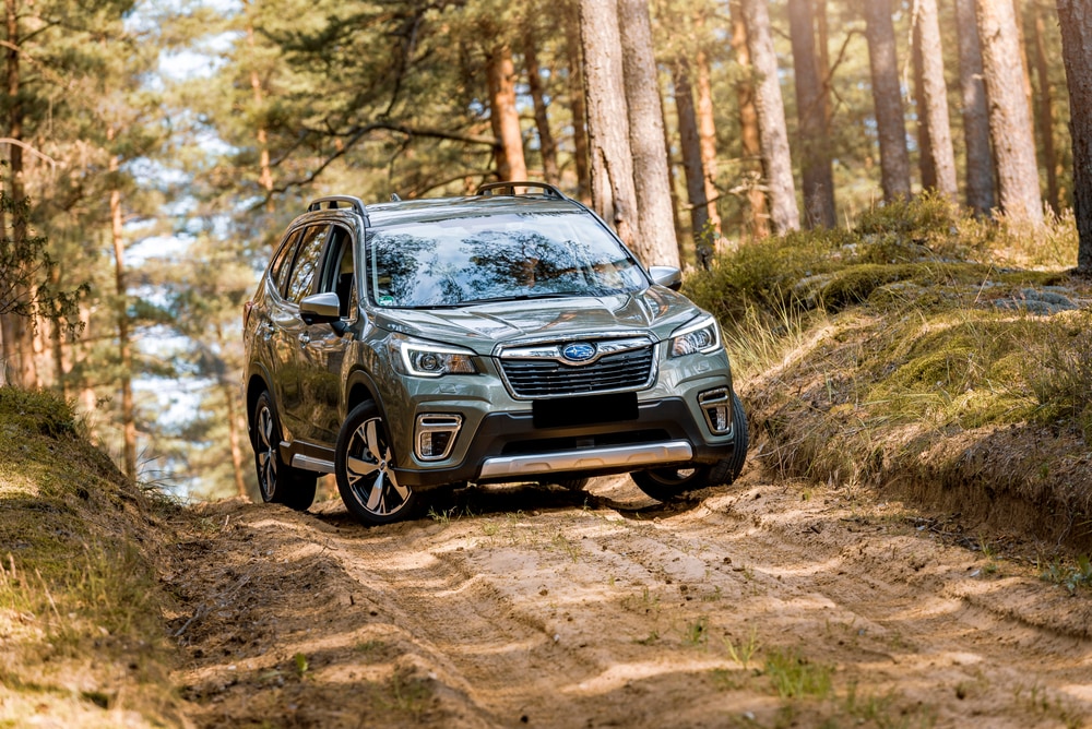Subaru_SUV.jpg