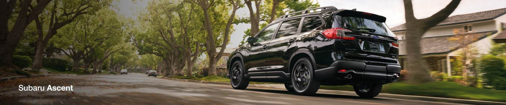New Subaru Ascent