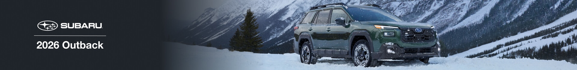 Subaru Outback For Sale