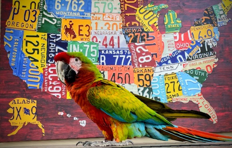 Autostrade Used Dealership in Tomball, TX