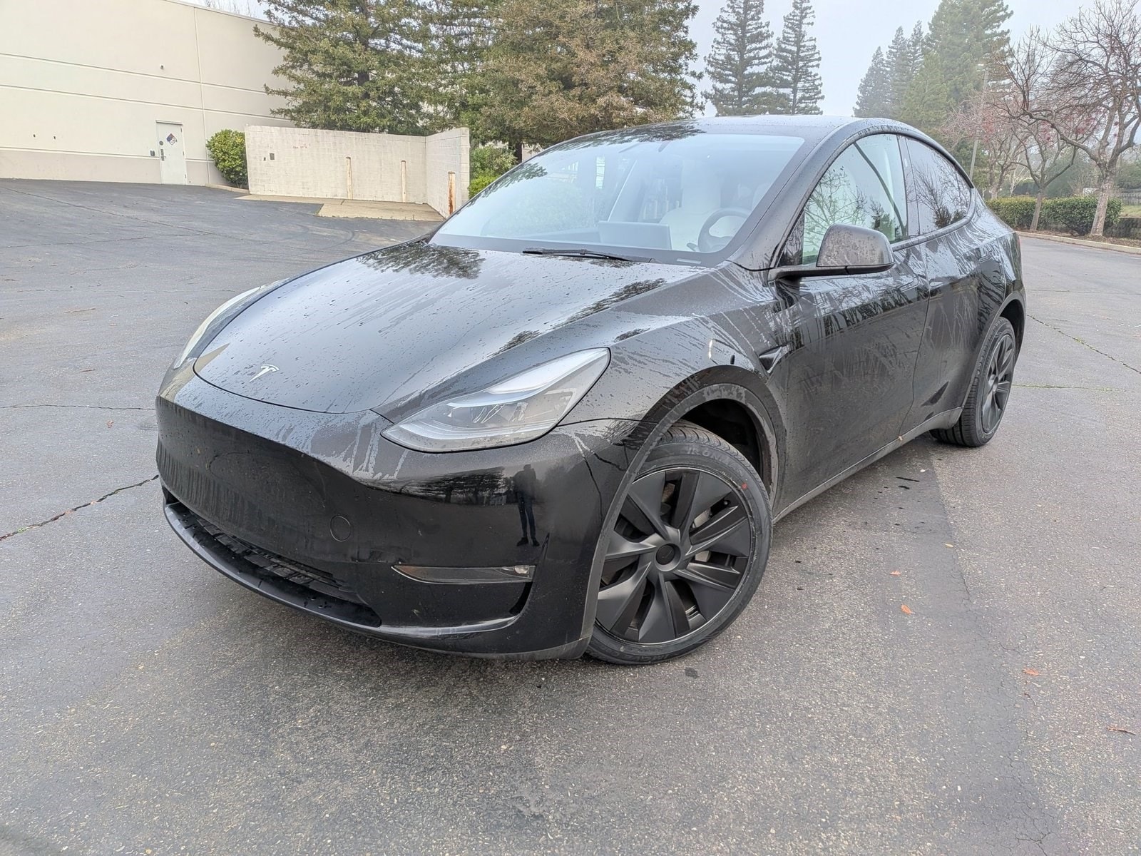 2024 Tesla Model Y Long Range's photo